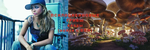 спайс Абинск